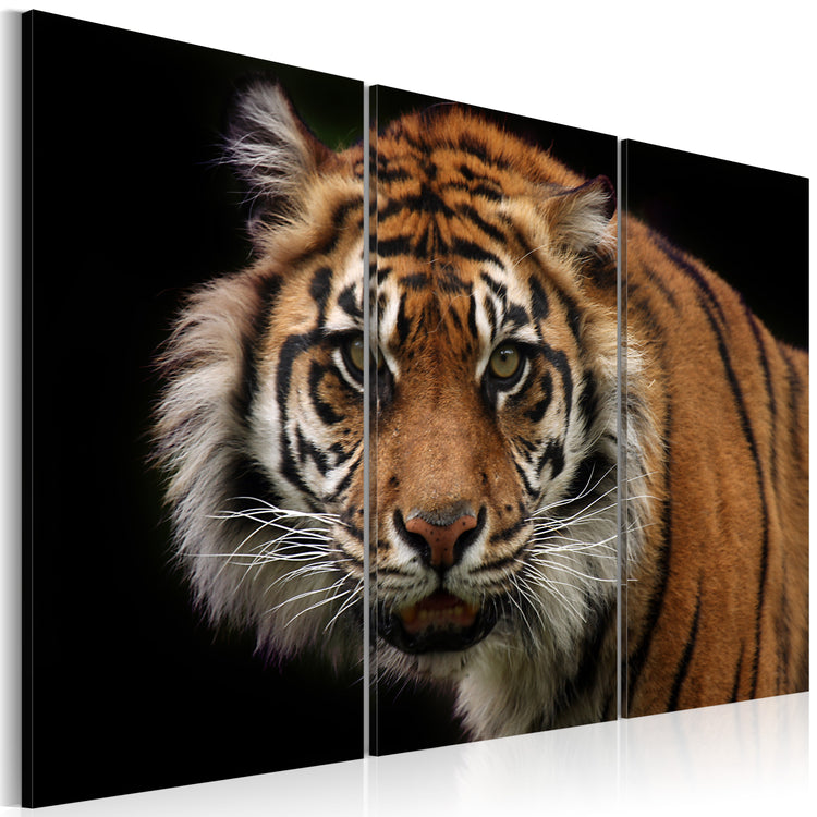 Foto schilderij - A wild tiger