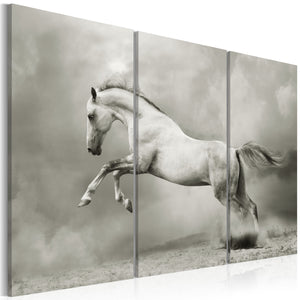 Foto schilderij - A white horse in motion