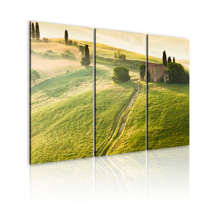 Foto schilderij - Under the Tuscan Sun