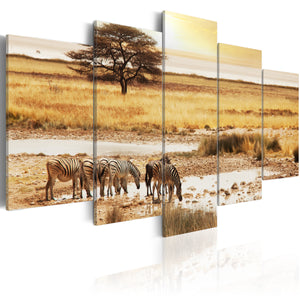 Foto schilderij - Zebras on a savannah