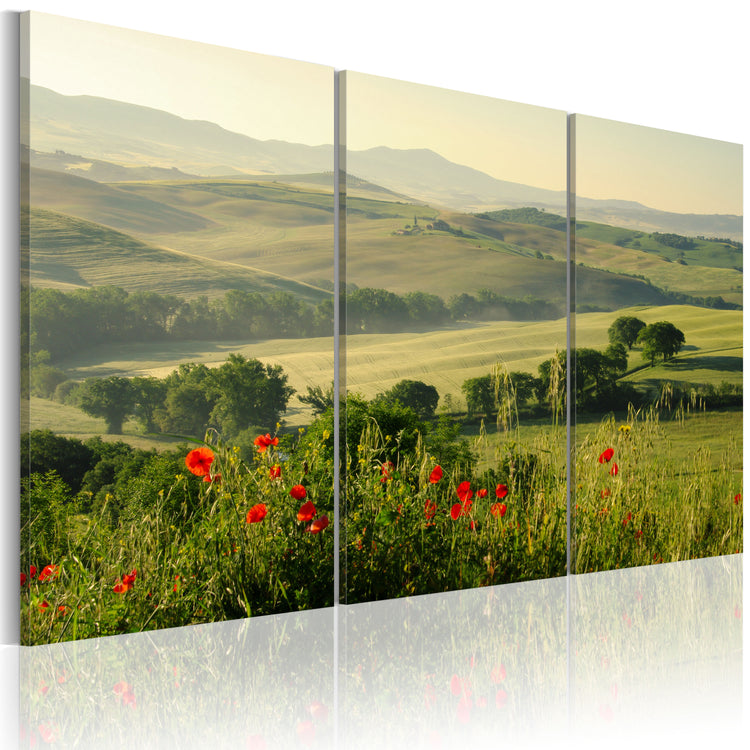 Foto schilderij - Poppies on Tuscany fields