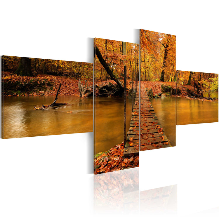Foto schilderij - A footbridge over a forest stream