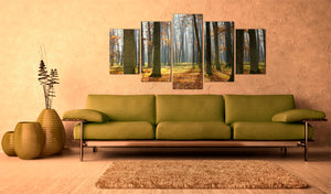 Foto schilderij - A nice forest landscape