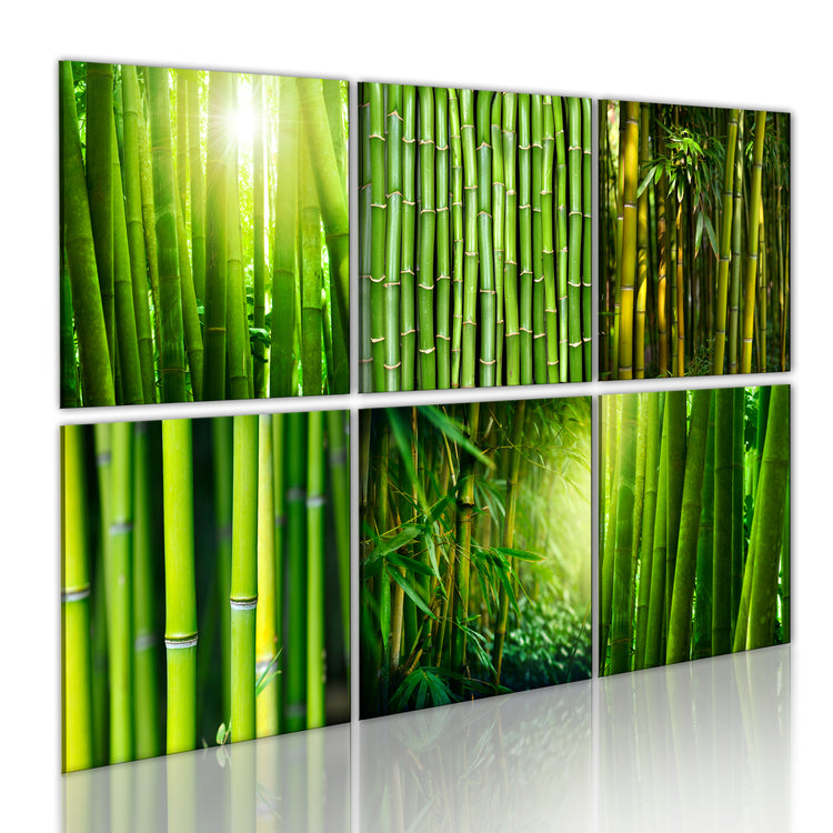 Foto schilderij - Bamboo has many faces
