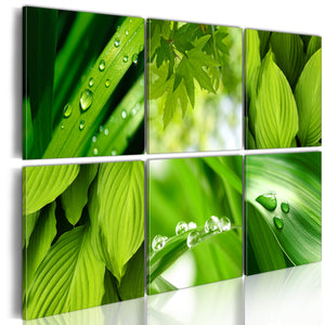 Foto schilderij - Fresh green leaves