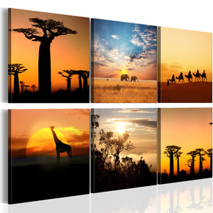 Foto schilderij - African sceneries