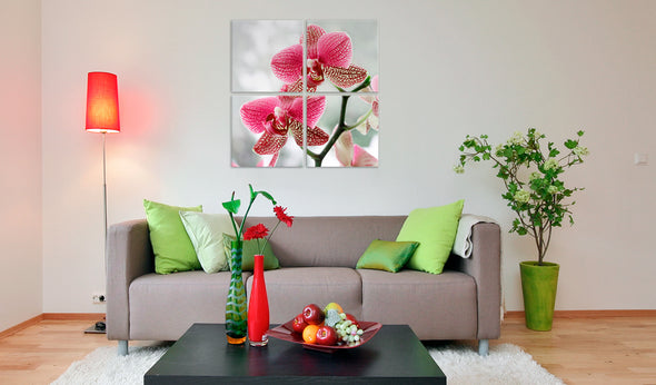 Foto schilderij - Fancy orchidee