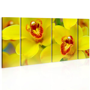 Foto schilderij - Orchids - intensity of yellow color
