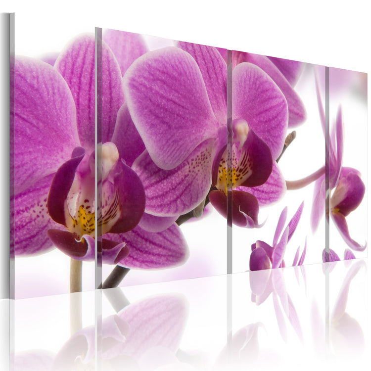 Foto schilderij - Marvelous orchid