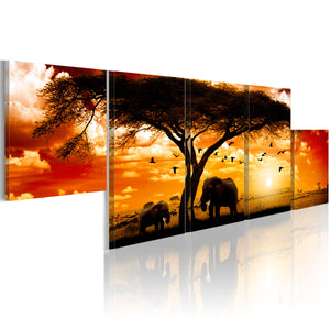 Foto schilderij - Rode zonsondergang - Afrika