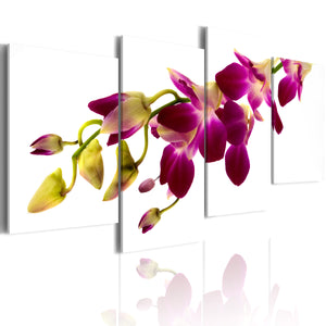 Foto schilderij - Orchid's gloed