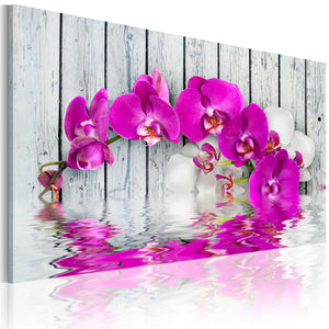 Foto schilderij - harmonie: orchidee