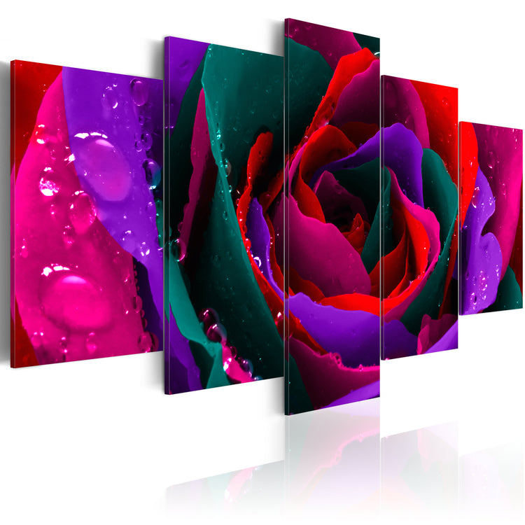 Foto schilderij - Multicoloured rose
