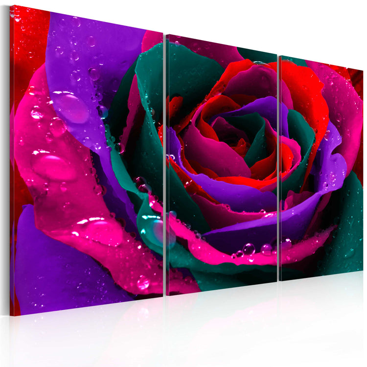 Foto schilderij - Regenboogkleurige rose