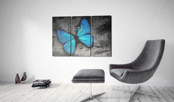 Foto schilderij - The study of butterfly - triptych