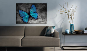 Foto schilderij - The study of butterfly