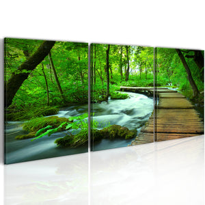 Foto schilderij - Forest broadwalk - triptych