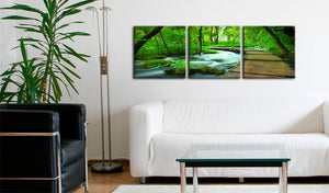 Foto schilderij - Forest broadwalk - triptych