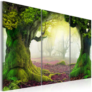 Foto schilderij - Mysterious forest - triptych