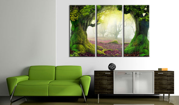 Foto schilderij - Mysterious forest - triptych