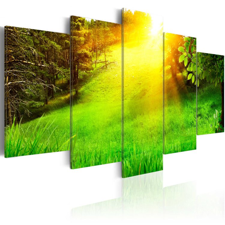 Foto schilderij - Forest and sun