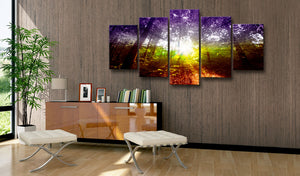 Foto schilderij - Rainbow Forest
