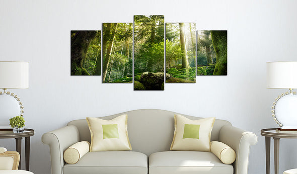 Foto schilderij - The Beauty of the Forest