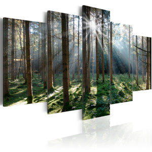 Foto schilderij - Fairytale Forest
