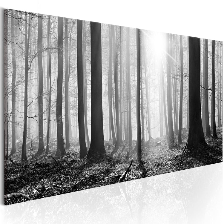 Foto schilderij - Black and White Forest