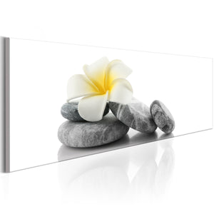 Foto schilderij - White Lotus