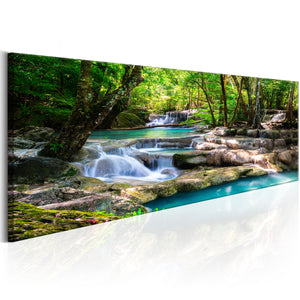 Foto schilderij - Nature: Forest Waterfall