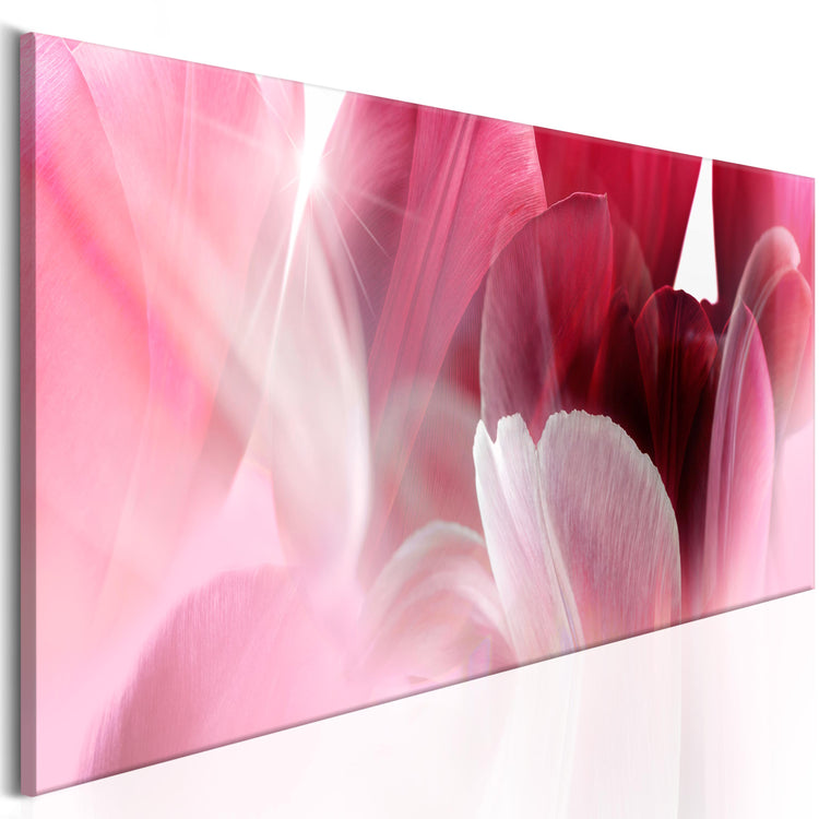 Foto schilderij - Flowers: Pink Tulips