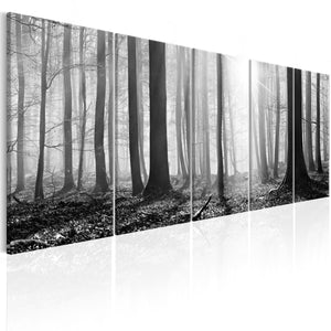 Foto schilderij - Monochrome Forest