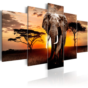 Foto schilderij - Elephant Migration