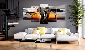 Foto schilderij - Elephant at Sunset