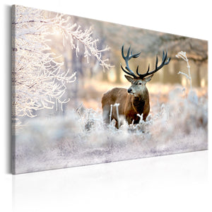 Foto schilderij - Deer in the Cold