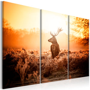 Foto schilderij - Deer in the Sun I