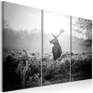 Foto schilderij - Black and White Deer I