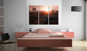 Foto schilderij - Deer in the Sunshine I