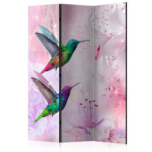 Kamerscherm - Colourful Hummingbirds