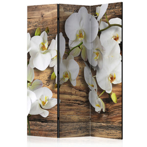 Kamerscherm - Forest Orchid
