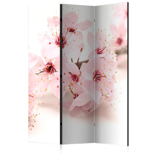 Kamerscherm - Cherry Blossom