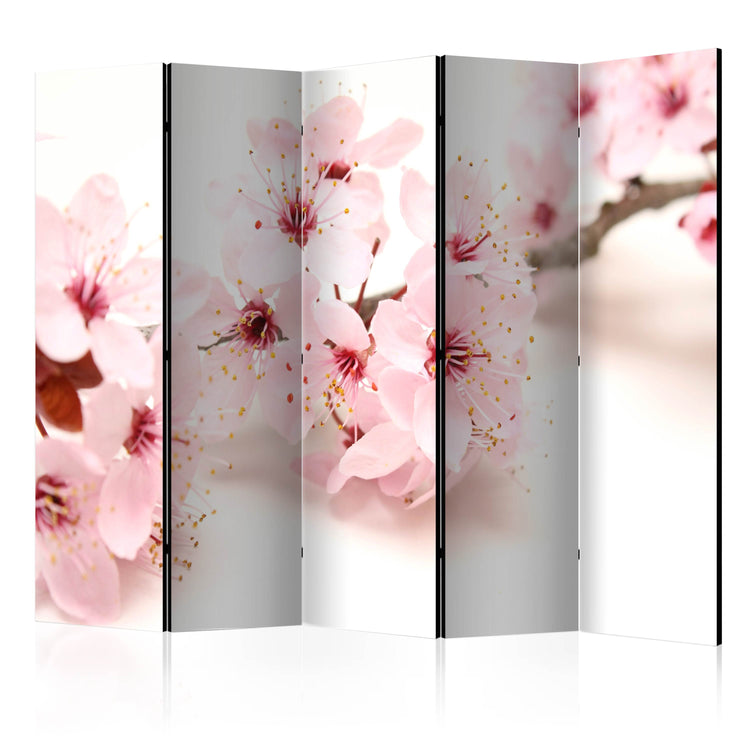 Kamerscherm -  Cherry Blossom II