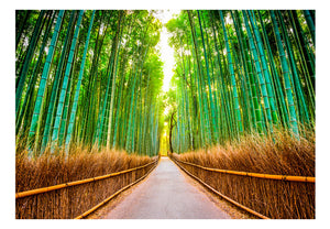 Fotobehang - Bamboo Forest