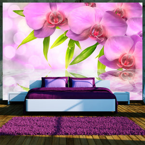 Fotobehang - Orchids in lilac colour