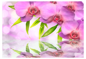 Fotobehang - Orchids in lilac colour