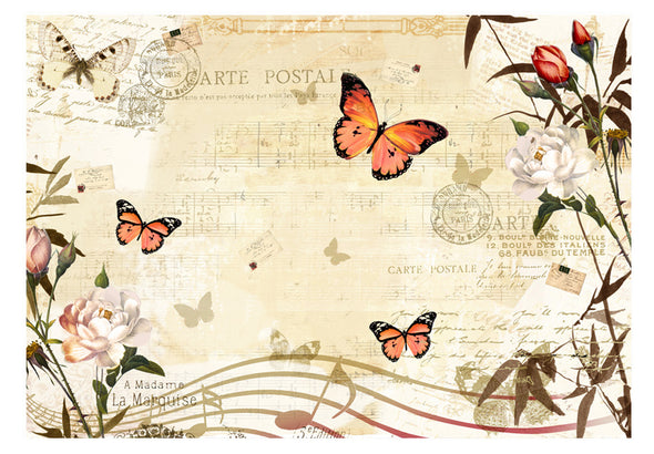 Fotobehang - Melodies of butterflies