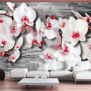 Fotobehang - Callous orchids