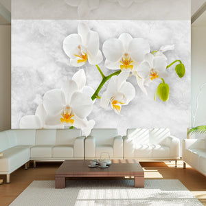 Fotobehang - Lyrical orchid - White