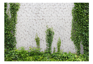 Fotobehang - Creeping ivy